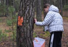 В Клепиковском районе прошел третий этап кубка по спортивному туризму