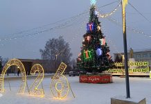 Клепиковцы торжественно открыли главную елку района