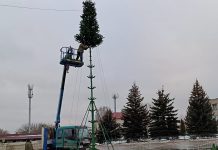 В Спас-Клепиках устанавливают новогоднюю ель