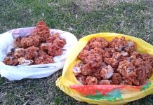 Клепиковские футболисты — чемпионы первенства по футзалу