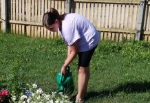 В дни каникул тумские школьники не забывают наводить порядок у школы