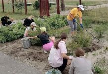 Криушинские школьники проводят летнюю отработку на школьном питомнике
