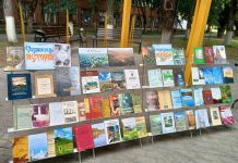 Об истории Спас-Клепиков рассказывает книжная выставка