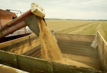 Два миллиона тонн зерна собрали рязанские аграрии