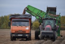 В хозяйствах агропромышленного комплекса Клепиковского округа убирают урожай